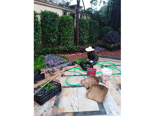 別墅園林施工 (14)