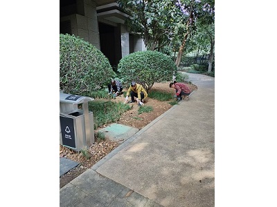 芙蓉區(qū)馬王堆街道紅橡華園小區(qū)