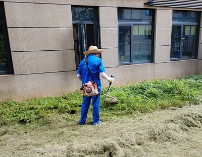 長沙市亮宇園林綠化工程有限公司,長沙園林養(yǎng)護,長沙大樹移植,小型樹種及花草哪里的好